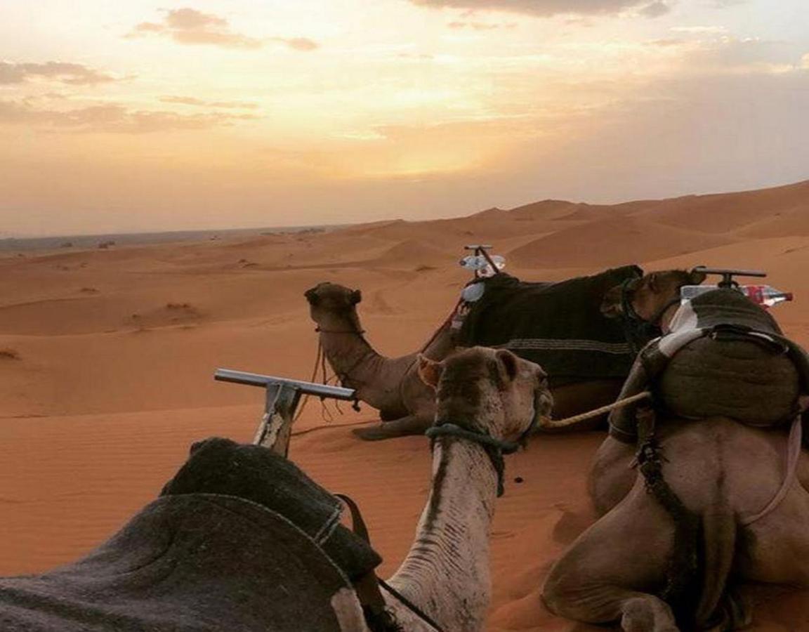 Camp Sahara Majestic Panzió M'Hamid Kültér fotó